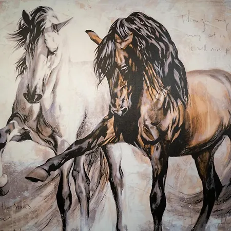 Emeraldapartament * Τίρανα