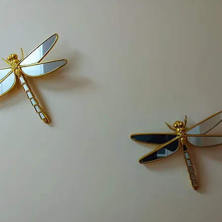 Emeraldapartament Τίρανα