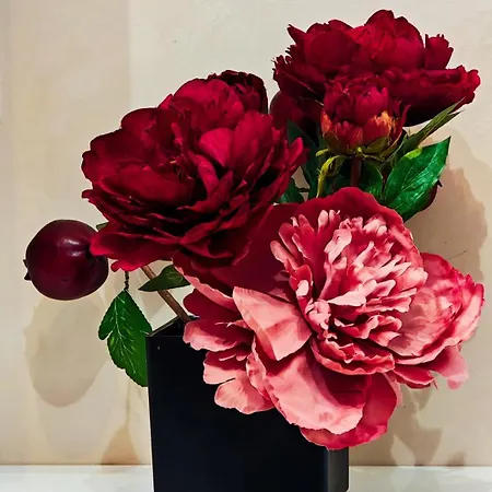 Emeraldapartament Διαμέρισμα Τίρανα